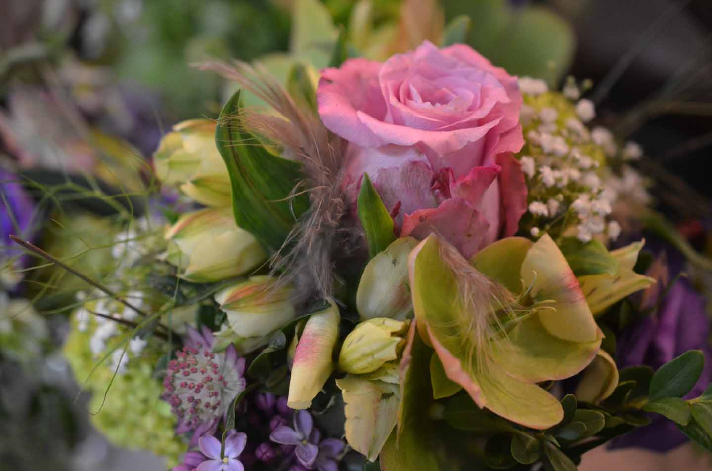 BlumenfjAnlass2 2